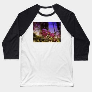 red Malus 'Radiant'  crab apple blossoms #1 Baseball T-Shirt